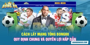 Cách lấy mạng tổng Bong88 | Quy định chung và quyền lợi hấp dẫn