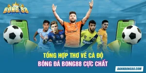 Tổng hợp thơ về cá độ bóng đá Bong88 cực chất