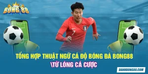 Tổng hợp thuật ngữ cá độ bóng đá Bong88, từ lóng cá cược