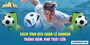 Cách tính kèo chẵn lẻ Bong88 thắng đậm, khó trật cửa