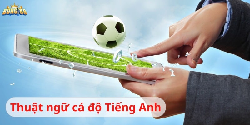 các thuật ngữ trong cá độ bóng đá